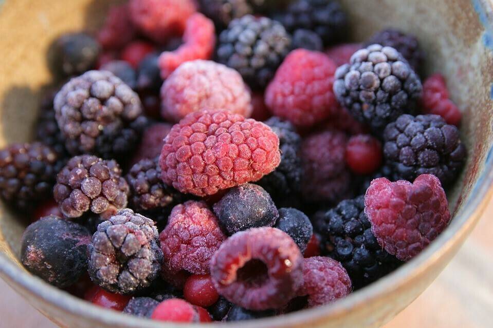 forest-fruit-1037777_960_720|blueberries-1596198_960_720|raspberries-2897386_960_720